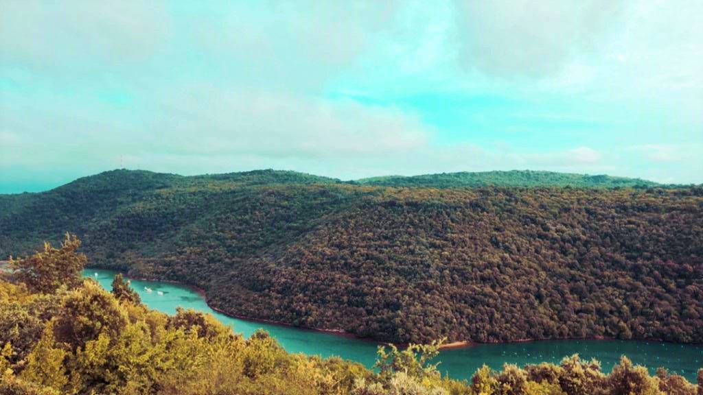 Private boat tour Fazana Rovinj - Image 4